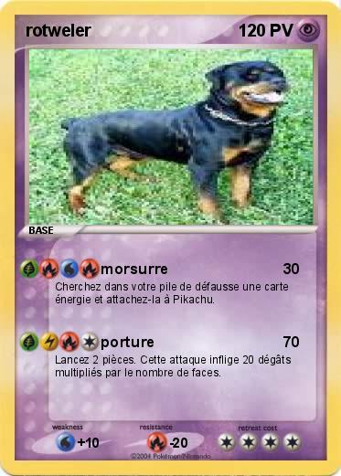 Pokemon rotweler