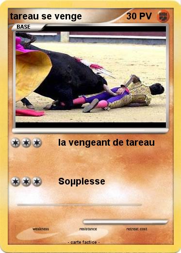 Pokemon tareau se venge