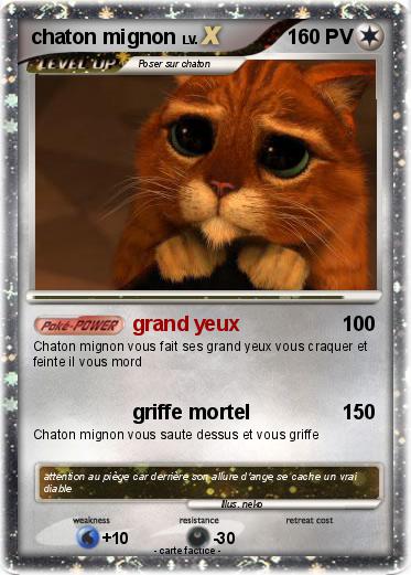 Pokemon chaton mignon