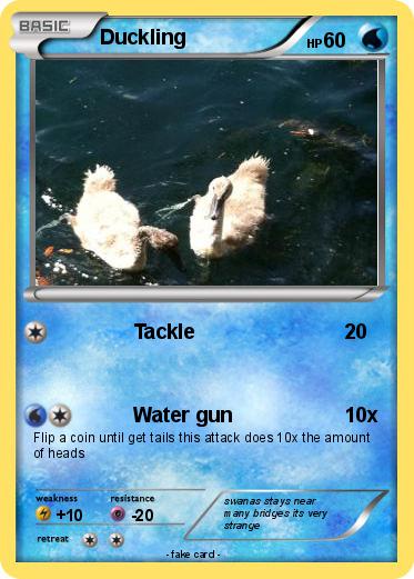 Pokemon Duckling