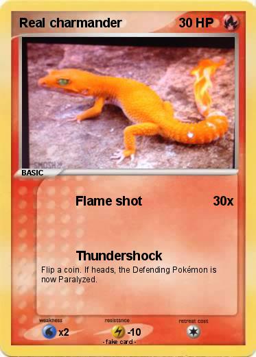Pokemon Real charmander