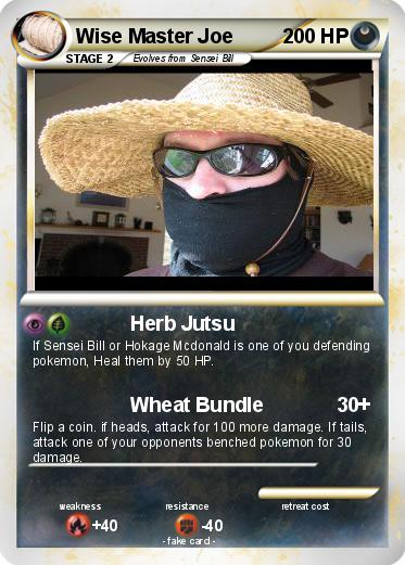 Pokemon Wise Master Joe