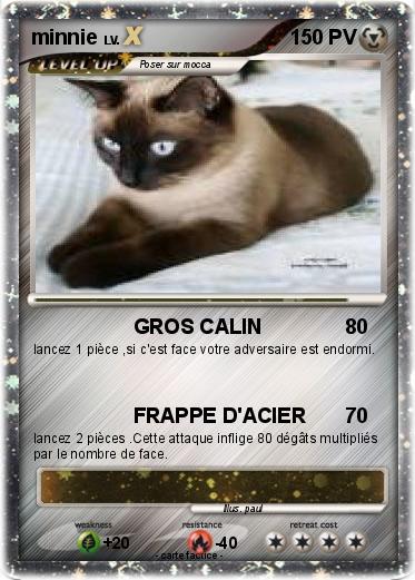 Pokemon minnie