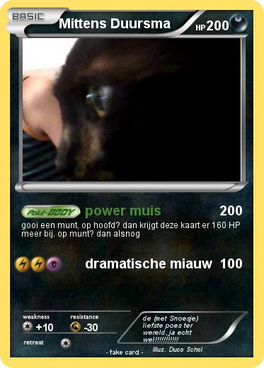 Pokemon Mittens Duursma