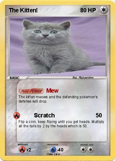 Pokemon The Kitten!