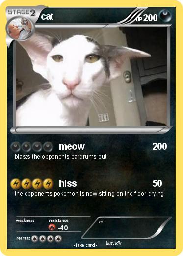 Pokemon cat