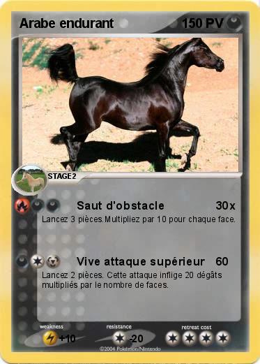 Pokemon Arabe endurant