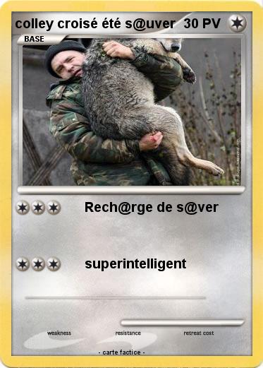 Pokemon colley croisé été s@uver