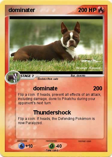 Pokemon dominater