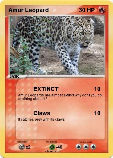 Pokemon Amur Leopard