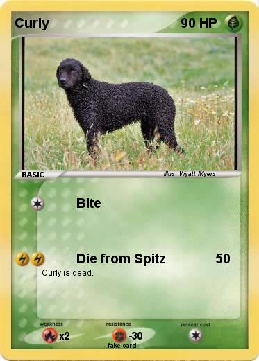 Pokemon Curly