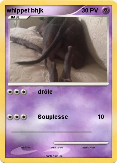 Pokemon whippet bhjk