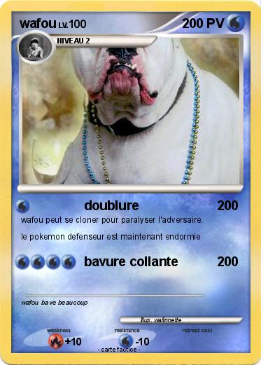 Pokemon wafou
