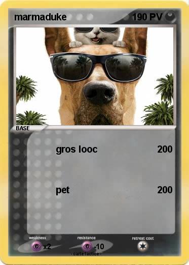 Pokemon marmaduke