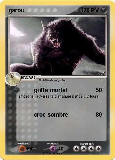 Pokemon garou