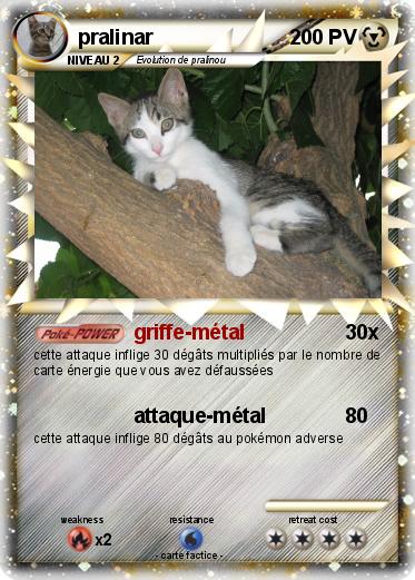 Pokemon pralinar