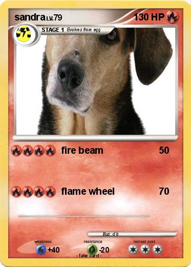 Pokemon sandra