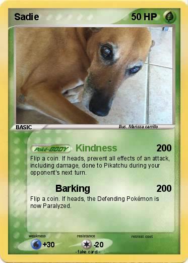 Pokemon Sadie