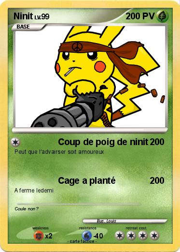 Pokemon Ninit