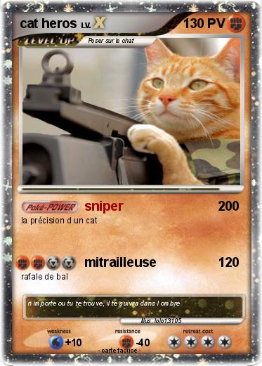 Pokemon cat heros