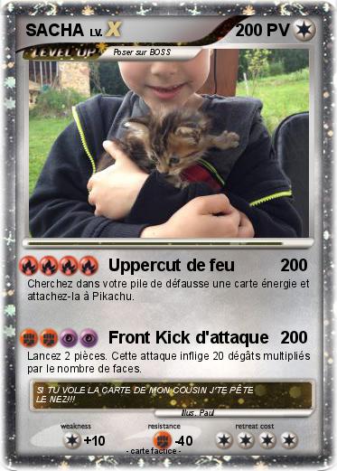Pokemon SACHA