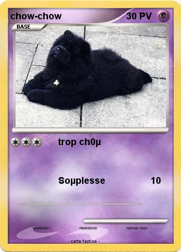 Pokemon chow-chow