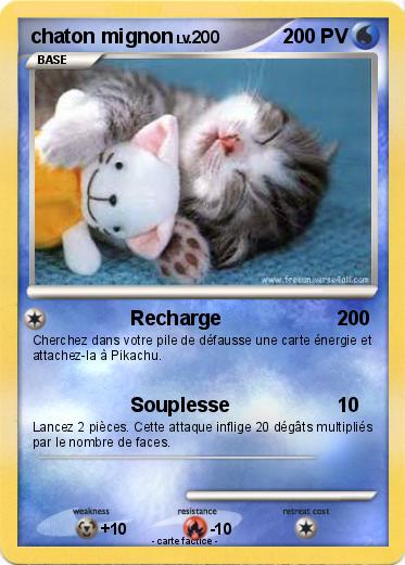 Pokemon chaton mignon