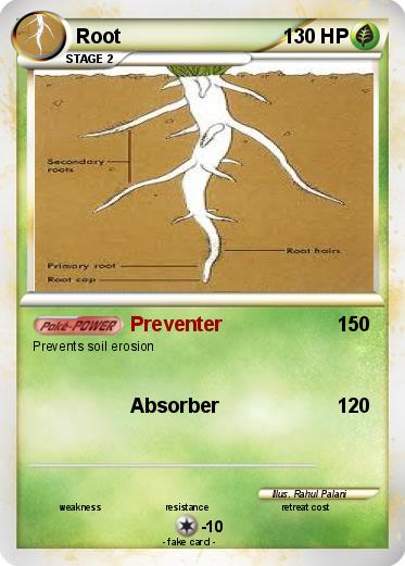 Pokemon Root