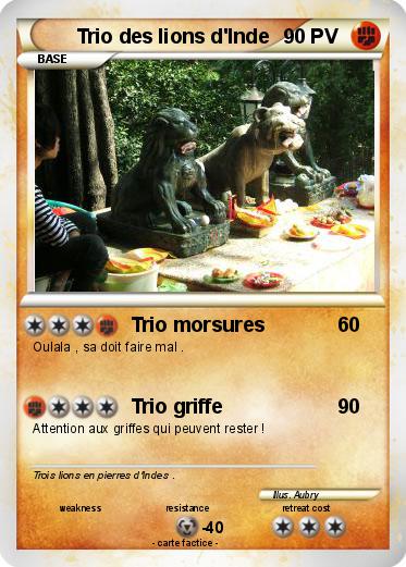 Pokemon Trio des lions d'Inde