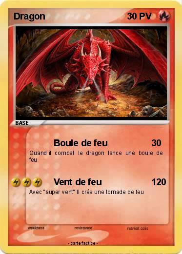 Pokemon Dragon
