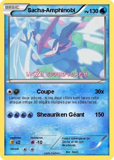 Pokemon Sacha-Amphinobi