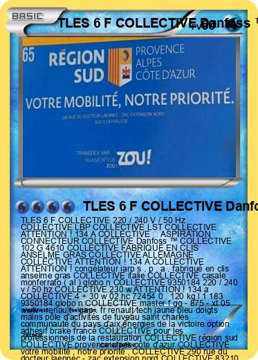 Pokemon TLES 6 F COLLECTIVE Danfoss ™