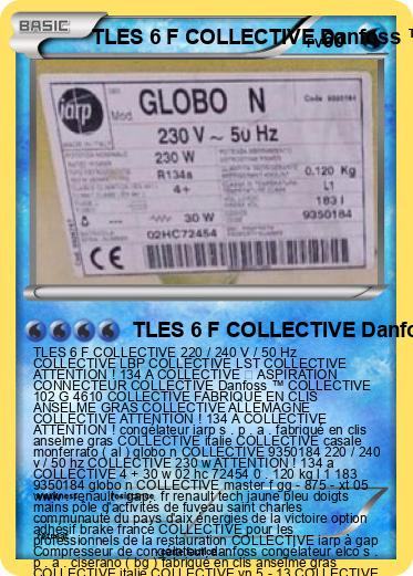 Pokemon TLES 6 F COLLECTIVE Danfoss ™