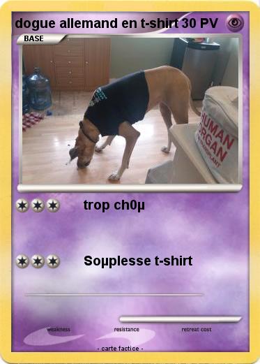 Pokemon dogue allemand en t-shirt
