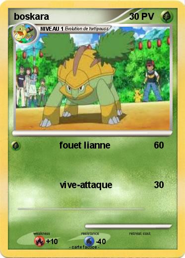 Pokemon boskara