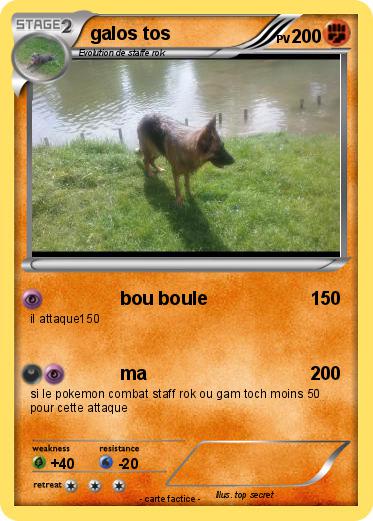 Pokemon galos tos