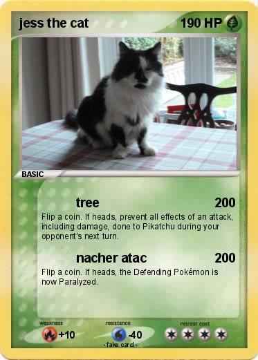 Pokemon jess the cat