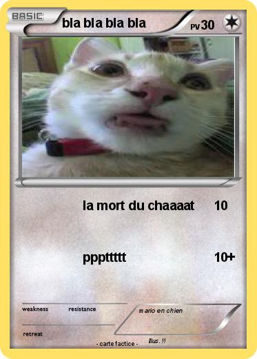 Pokemon bla bla bla bla