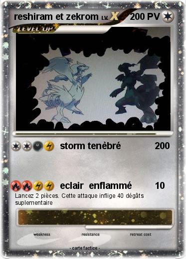 Pokemon reshiram et zekrom