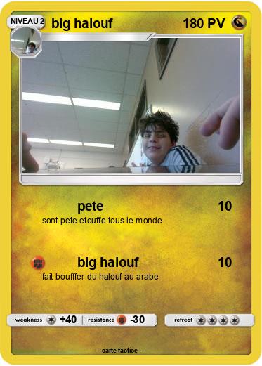 Pokemon big halouf