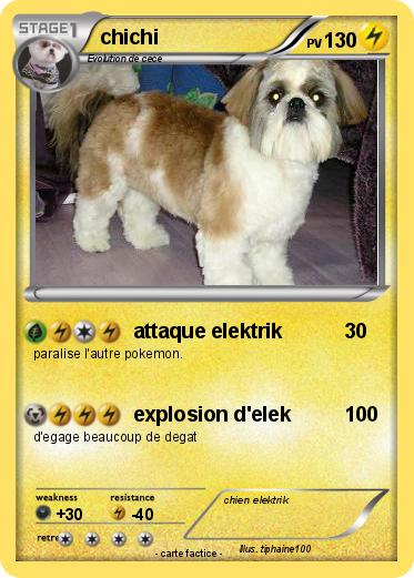 Pokemon chichi