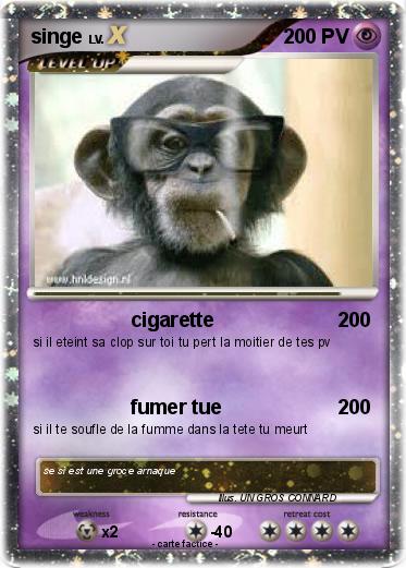 Pokemon singe