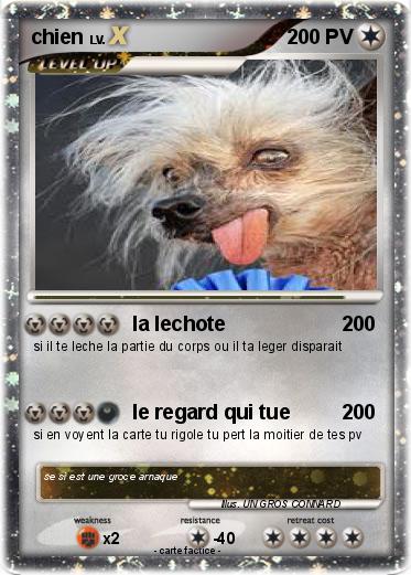 Pokemon chien