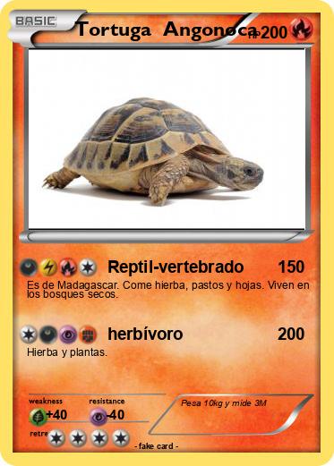 Pokemon Tortuga  Angonoca
