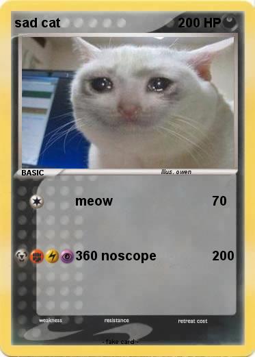 Pokemon sad cat