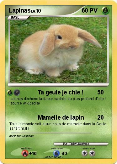 Pokemon Lapinas