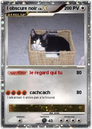 Pokemon l obscure noir