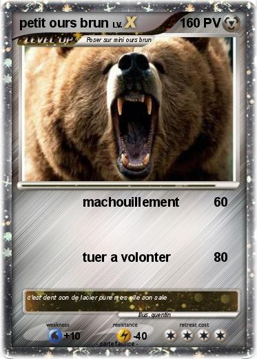 Pokemon petit ours brun