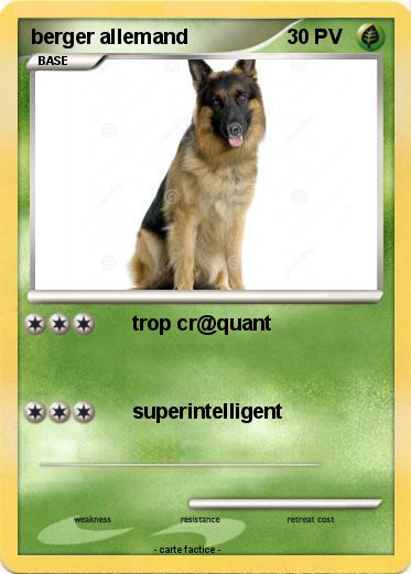 Pokemon berger allemand
