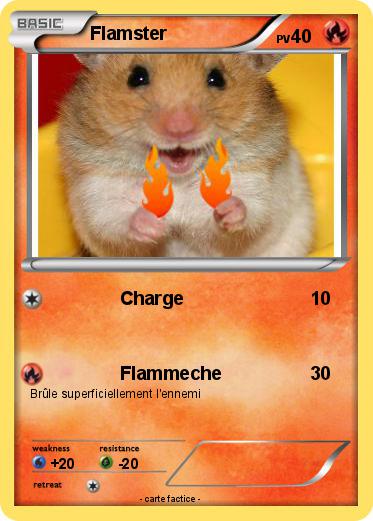 Pokemon Flamster